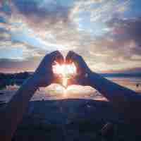 最﻿新​SEO优​化‍系‍统‌